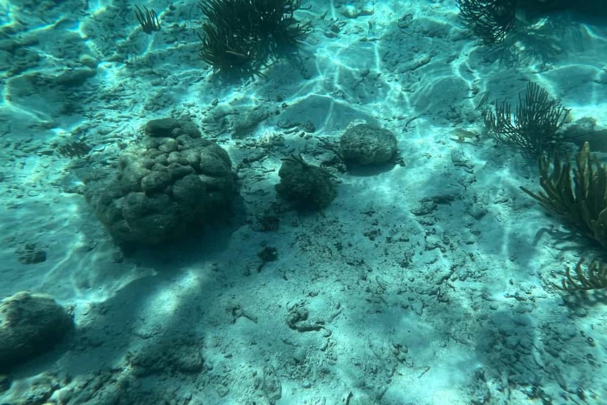 סן פדרו White Sands Cove מראה חיצוני תמונה